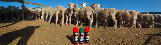 πρόβατα 500ml Plyfit που χαρακτηρίζουν χρωμάτων Eco το φιλικό χρώματος χρώμα ψεκασμού χαρακτηρισμού ουρών ζωικό