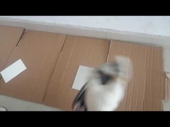 Waterproof 400ml All Purpose Spray Paint Fast Drying Acrylic Paint