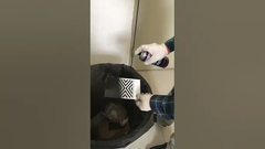 Το ακρυλικό χρώμα ψεκασμού για την εσωτερική & υπαίθρια χρήση ποικίλλει τη θερμοκρασία εφαρμογής