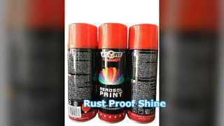 PLYFIT Anti Rust Spray Paint High Gloss 400ml